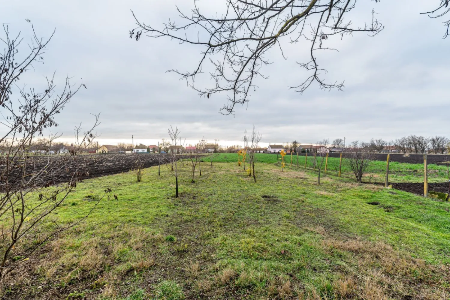 Casă în Dorobanți / 2 fronturi stradale - Dorobanți e genul de loc pe care îl alegi când vrei liniște, spațiu și acel stil de viață „așezat”, în care ziua începe cu aer curat și se termină cu un ceai în curte. Iar proprietatea asta îți dă exact libertatea pe care o cauți: 2.500 mp de teren, organizat, cu livadă tânără și anexe care chiar îți sunt utile.

Interior (practic și luminos): 2 camere mari la stradă + o cameră suplimentară; hol luminos; baie cu cadă; toaletă separată cu geam; cămară, pivniță, acces în pod; încălzire pe lemne; apă la rețea; proiect aprobat pentru fosă nouă (fără costuri pentru viitorul proprietar).

Exterior (aici începe povestea frumoasă): acces auto; curte cu vie și flori; filigorie (locul perfect pentru seri lungi); bucătărie de vară; cameră de lemne; garaj metalic + anexe utile; jumătate din teren: livadă tânără – pentru producție reală, nu doar decor.

Mai ai și un avantaj rar: 2 fronturi stradale, deci poți gândi extindere, compartimentare sau acces separat fără bătăi de cap. 

Imaginează-ți cum ar fi să ai loc pentru grădină, hobby-uri, poate câteva animale… sau pur și simplu liniște, cu tot ce îți trebuie în curtea ta.

📞 Pentru detalii și programarea unei vizionări sună‑mă acum, sunt Mihai Molnar și am numărul de telefon: 0761 899 230

💳 Nu dispui de toată suma? Te ajutăm gratuit cu finanțarea: îți obținem oferte de la 16 bănci, astfel încât să alegi varianta cea mai avantajoasă.

🏠 Ai o proprietate de vânzare în Arad și vrei să știi cât valorează cu adevărat?
Sună‑mă pentru o evaluare gratuită, fără obligații.

🏢 ACASĂ | Agenție imobiliară Arad
Bulevardul Decebal 2, Arad 310133