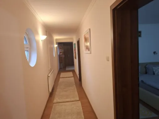 BRASADAS vinde casa cu iesire la lac