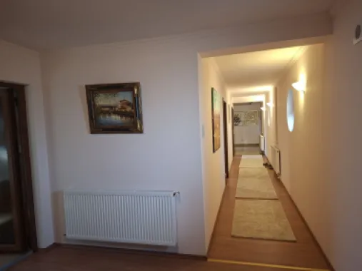BRASADAS vinde casa cu iesire la lac