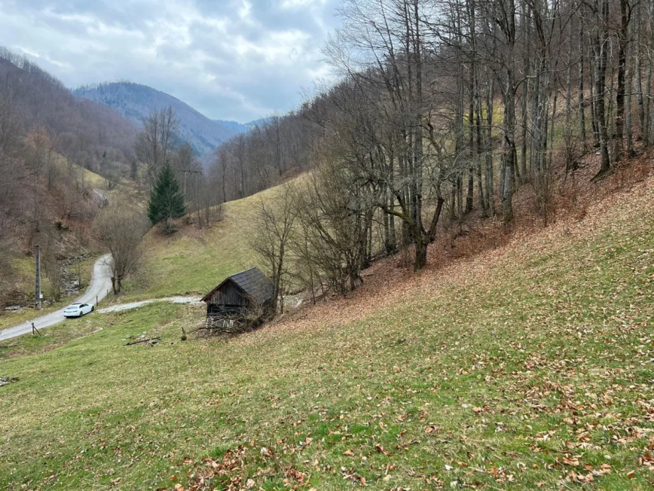 Teren intravilan 1.28ha Remeti–perfect pensiune/cabane, zonă turistica - immoSELL va ofera in exclusivitate Teren intravilan 12.800 mp – Remeti | Locație rară, liniște totală, potențial turistic ridicat

Dacă ești în căutarea unui loc cu adevărat special pentru o investiție în turism sau pentru un refugiu în natură, această proprietate îți oferă exact acel „ceva” greu de găsit: liniște absolută, intimitate și peisaj autentic de munte.

🌲 Terenul are o suprafață generoasă de 12.800 mp și este intravilan, pregătit pentru construcții – ideal pentru:

pensiune boutique
cabane A-frame sau tiny houses
glamping exclusivist
retreat (yoga, wellness, detox)

📍 Localizare premium – situat în Remeti, într-o zonă apreciată pentru frumusețea naturală și interesul tot mai mare pentru turismul rural și montan.

✨ Ce îl face cu adevărat special:

Izolare totală – fără vecini în apropiere
Înconjurat de pădure și pășune, perfect pentru relaxare și reconectare
Aer curat, liniște deplină, priveliști spectaculoase
Acces facil + la doar 500 m de TransApuseana (atracție turistică majoră)
Pârâu în imediata vecinătate – ideal pentru un proiect turistic cu atmosferă autentică
 Acces rapid la energie electrică

📈 Zona este în plină dezvoltare, iar cererea pentru experiențe autentice în natură este în continuă creștere – ceea ce transformă acest teren într-o investiție sigură și valoroasă pe termen mediu și lung.

💰 Preț imbatabil: 48.500 € (negociabil)

📞 Pentru detalii suplimentare sau programarea unei vizionări, contactează-mă cu încredere.

Sorin Gligor

tel: 0731.290.032