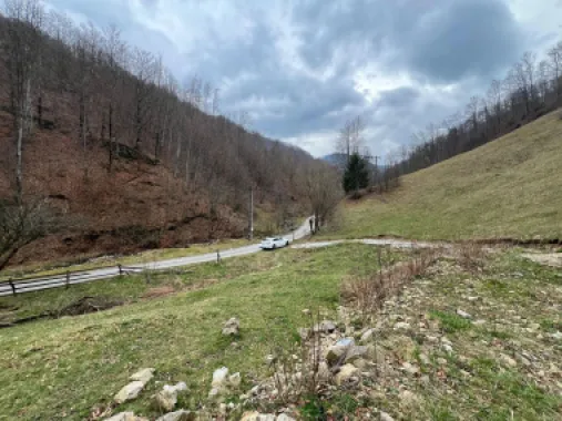 Teren intravilan 1.28ha Remeti–perfect pensiune/cabane, zonă turistica