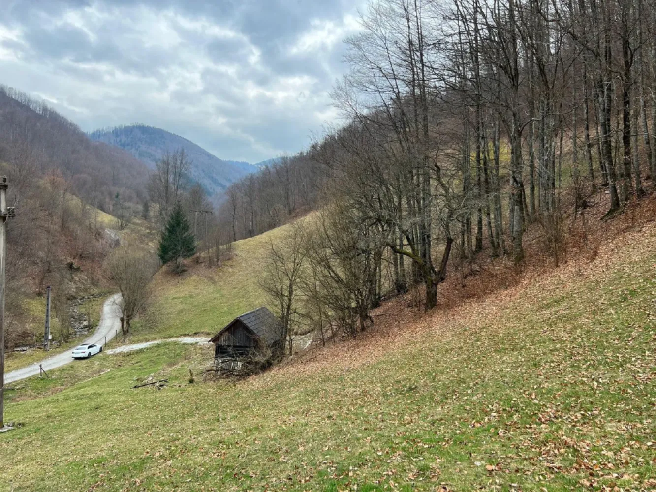 Teren intravilan 1.28ha Remeti–perfect pensiune/cabane, zonă turistica - immoSELL va ofera in exclusivitate Teren intravilan 12.800 mp – Remeti | Locație rară, liniște totală, potențial turistic ridicat

Dacă ești în căutarea unui loc cu adevărat special pentru o investiție în turism sau pentru un refugiu în natură, această proprietate îți oferă exact acel „ceva” greu de găsit: liniște absolută, intimitate și peisaj autentic de munte.

🌲 Terenul are o suprafață generoasă de 12.800 mp și este intravilan, pregătit pentru construcții – ideal pentru:

pensiune boutique
cabane A-frame sau tiny houses
glamping exclusivist
retreat (yoga, wellness, detox)

📍 Localizare premium – situat în Remeti, într-o zonă apreciată pentru frumusețea naturală și interesul tot mai mare pentru turismul rural și montan.

✨ Ce îl face cu adevărat special:

Izolare totală – fără vecini în apropiere
Înconjurat de pădure și pășune, perfect pentru relaxare și reconectare
Aer curat, liniște deplină, priveliști spectaculoase
Acces facil + la doar 500 m de TransApuseana (atracție turistică majoră)
Pârâu în imediata vecinătate – ideal pentru un proiect turistic cu atmosferă autentică
 Acces rapid la energie electrică

📈 Zona este în plină dezvoltare, iar cererea pentru experiențe autentice în natură este în continuă creștere – ceea ce transformă acest teren într-o investiție sigură și valoroasă pe termen mediu și lung.

💰 Preț imbatabil: 48.500 € (negociabil)

📞 Pentru detalii suplimentare sau programarea unei vizionări, contactează-mă cu încredere.

Sorin Gligor

tel: 0731.290.032