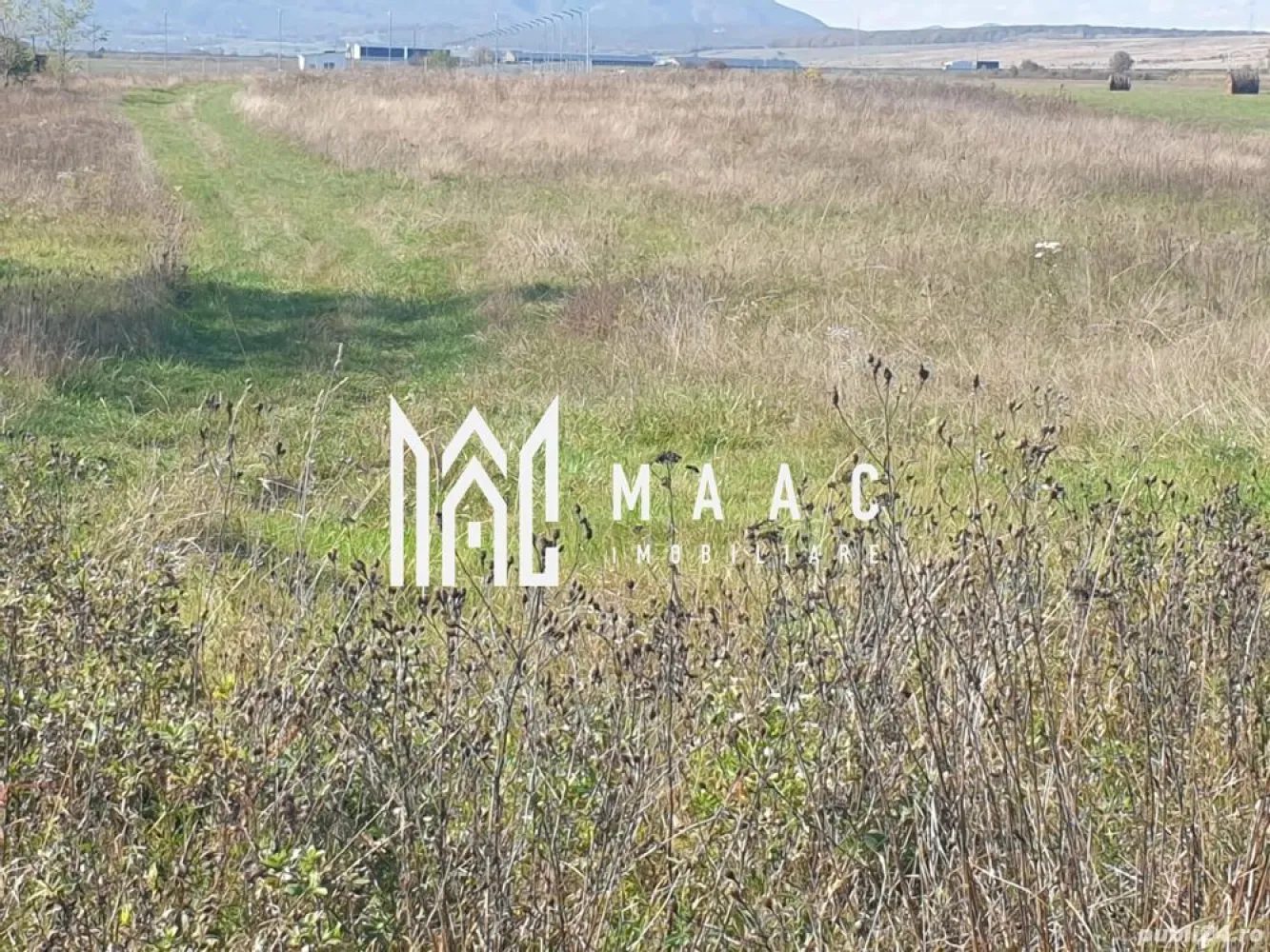 Teren Intravilan | 3.900 Mp Talmaciu | - MAAC Imobiliare vă oferă spre vânzare teren intravilan în Tălmaciu – 3.900 mp

 Locație: Tălmaciu, județul Sibiu – poziționat excelent, la ieșirea din oraș, lângă fântână și Fan Courier, cu deschidere la drumul național (DN7).

Caracteristici principale:

Suprafață totală: 3.900 mp

Teren intravilan – ideal pentru construcții rezidențiale, industriale sau depozitare

Deschidere generoasă la DN, acces facil către Sibiu și autostrada A1

Utilități disponibile în zonă: apă, canalizare, curent electric și gaz

Zonă în plină dezvoltare, potrivită pentru investiții pe termen lung

Pentru mai multe detalii sau vizionare specificati ID:CP2796355