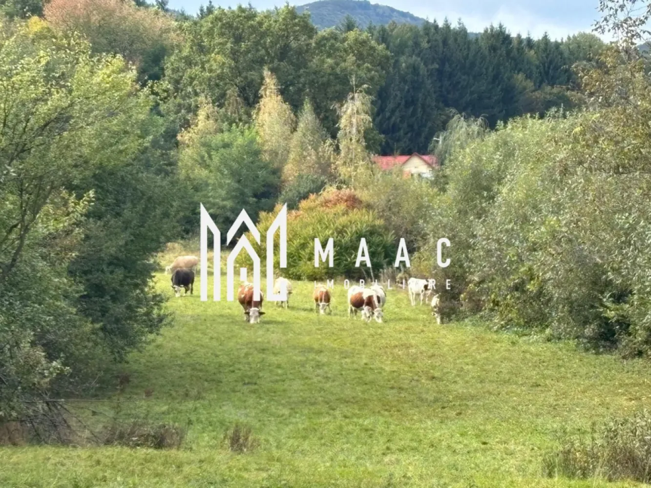 Teren intravilan | UTILITATI | 4717MP | TOCILE - MAAC Imobiliare vă propune spre vânzare un teren intravilan situat în Tocile, o zonă în plină dezvoltare, apreciată pentru liniște, aer curat și accesibilitate rapidă către Sibiu, ideal atât pentru construcția unei locuințe, cât și pentru investiții imobiliare.

Proprietatea are o suprafață totală de 4.717 mp și beneficiază de PUZ aprobat, oferind posibilitatea dezvoltării de locuințe sau proiecte imobiliare.

Caracteristici:
-suprafață: 4.717 mp
-PUZ aprobat
-deschidere la drum județean: 31 m
-teren intravilan

Utilități disponibile:
-apă
-canalizare
-curent electric

Terenul oferă o panoramă spectaculoasă asupra zonei și se remarcă prin poziționarea avantajoasă, cu acces facil către Sibiu, fiind o oportunitate excelentă pentru dezvoltare rezidențială sau investiție pe termen lung.

Pentru mai multe detalii, vă rugăm să menționați telefonic că ați văzut anunțul cu CP2796562