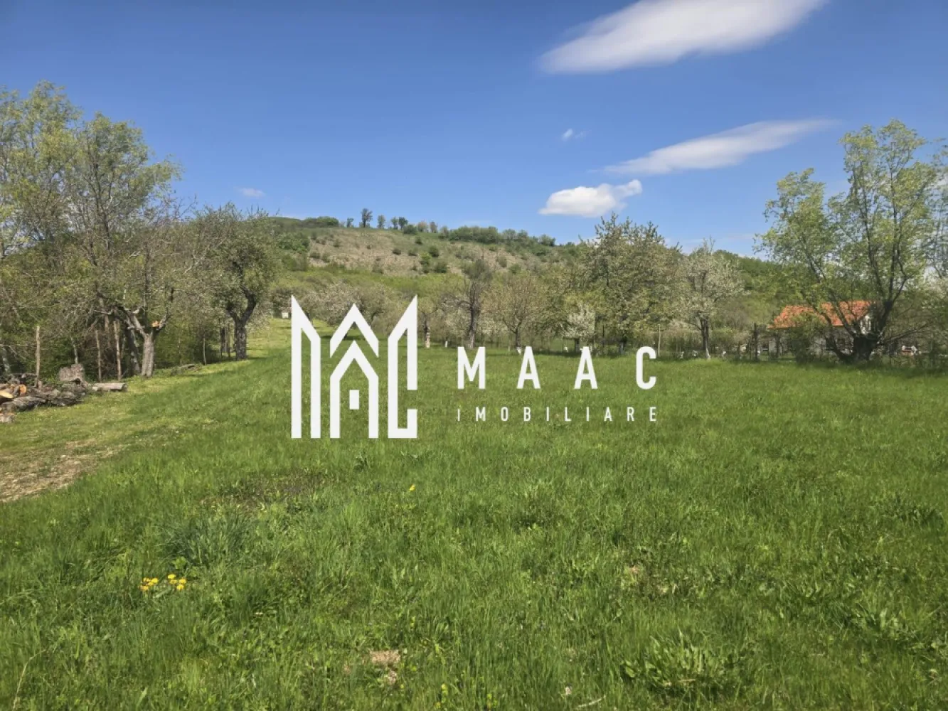 Teren 5400 mp superb cu livada si vedere spre munti Orlat - Teren de vânzare – 5.400 mp, Orlat, priveliște panoramică spre munți

Vă propunem spre vânzare un teren generos, cu o suprafață de 5.400 mp, situat în Orlat, într-o zonă liniștită, cu peisaj natural deosebit și deschidere spectaculoasă către munți.

Proprietatea este împrejmuită și beneficiază de o fântână proprie si livada cu pomi fructiferi.
Actele sunt în regulă, terenul fiind intabulat, ceea ce permite o tranzacție rapidă și sigură.

Caracteristici principale:

Suprafață: 5.400 mp
Teren împrejmuit
Fântână proprie
Livadă cu pomi fructiferi
Priveliște panoramică spre munți
Intabulat

Pentru detalii va rog specificati CP3048694 la telefon .
