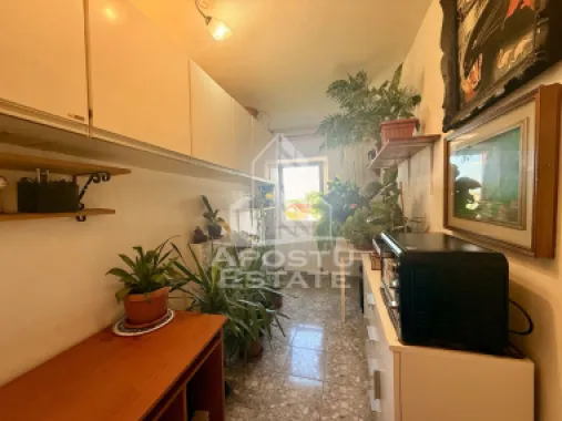 Apartament 1 camera de vanzare, zona Lunei, Timisoara