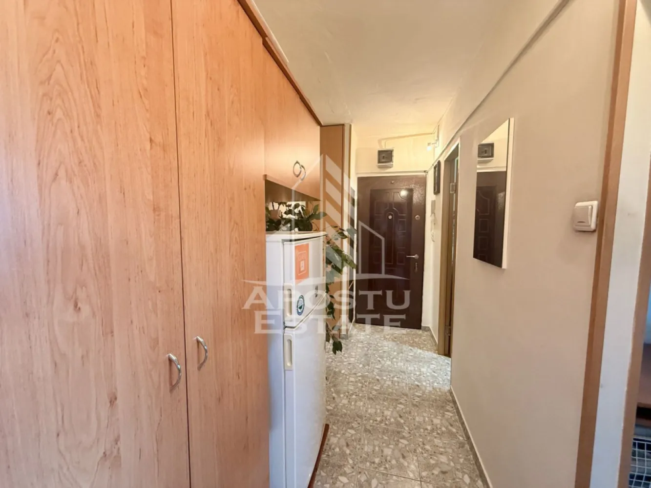 Apartament 1 camera de vanzare, zona Lunei, Timisoara
