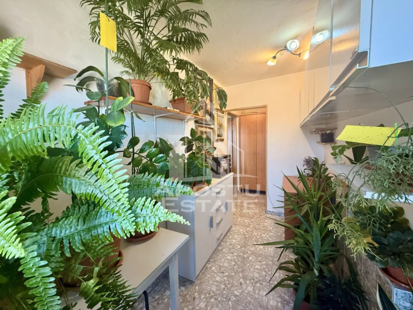 Apartament 1 camera de vanzare, zona Lunei, Timisoara