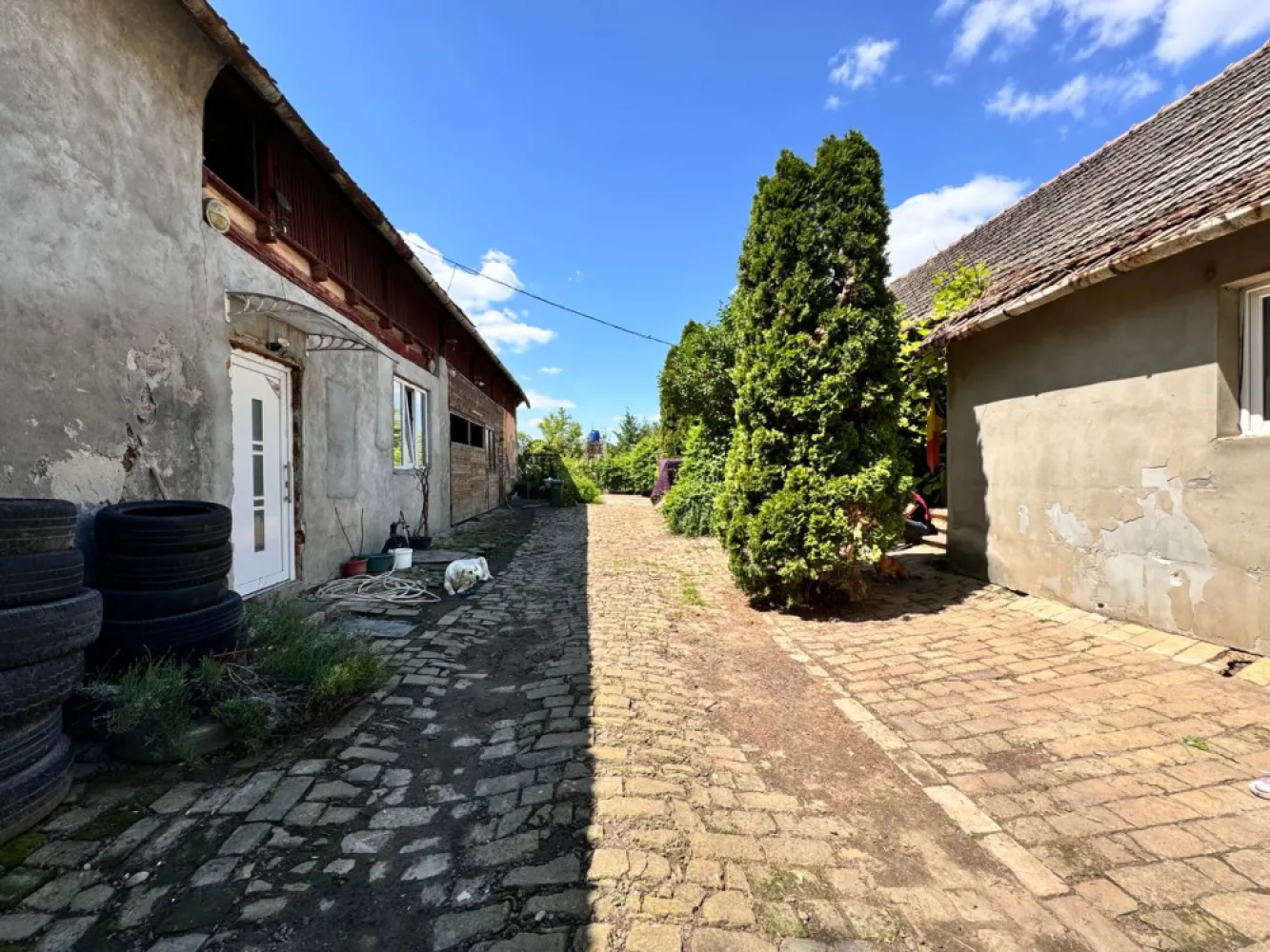 Casă de vânzare - 🏡 **Oportunitate în Iecea Mare – spațiu generos, liniște și potențial de dezvoltare!**Îți dorești o viață liniștită la țară sau cauți locul ideal pentru a începe o afacere? Această proprietate îți oferă exact combinația perfectă între confort, spațiu și oportunități.📍 **Localizare:** Iecea Mare, la aproximativ **38 km de Timișoara**📐 **Detalii proprietate:*** Suprafață totală teren: **3000 mp*** Suprafață utilă: **234 mp*** **2 case în aceeași curte** – ideal pentru locuit + afacere sau familie extinsă* **4 camere** spațioase* 1 bucătărie, 1 baie* Încălzire centrală pe lemne* Tip clădire: **singur în curte*** An construcție: **1941**🌳 **Avantaje care fac diferența:*** Curte foarte mare – perfectă pentru agricultură, grădinărit, depozitare sau dezvoltarea unei afaceri (atelier, pensiune, spațiu de producție etc.)* Locație liniștită – ideală pentru cei care vor să evadeze din agitația orașului* Acces relativ rapid către Timișoara* Posibilitate de amenajare după propriul gust* Potrivită atât pentru locuință permanentă, cât și pentru investiție💰 **Preț: 65.000 € (negociabil)**✨ Fie că visezi la o gospodărie tradițională, fie că vrei să îți dezvolți propria afacere într-un spațiu generos, această proprietate îți oferă libertatea de a crea exact ceea ce îți dorești.📞 Pentru mai multe detalii sau vizionare, nu ezita să mă contactezi!&nbsp;