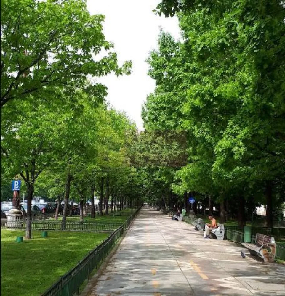 Spatiu comercial la vanzare bd Unirii, inchiriat - Va oferim spre vanzare un spatiu comercial in zona bd Unirii cu o suprafata de 128,46mp, distribuiti la parter 81,33mp+supanta 47,13mp, dispune de intrare suplimentara pe partea din spate pentru acces marfa, cu doua vitrine si toate utilitatile.
Pentru detalii suplimentare si vizionari contactati agentul Dona Camelia 0733683461