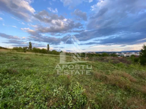 Teren intravilan cu vedere panoramica spre Retezat, Buituri, Hunedoara