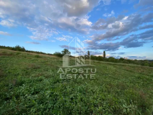 Teren intravilan cu vedere panoramica spre Retezat, Buituri, Hunedoara