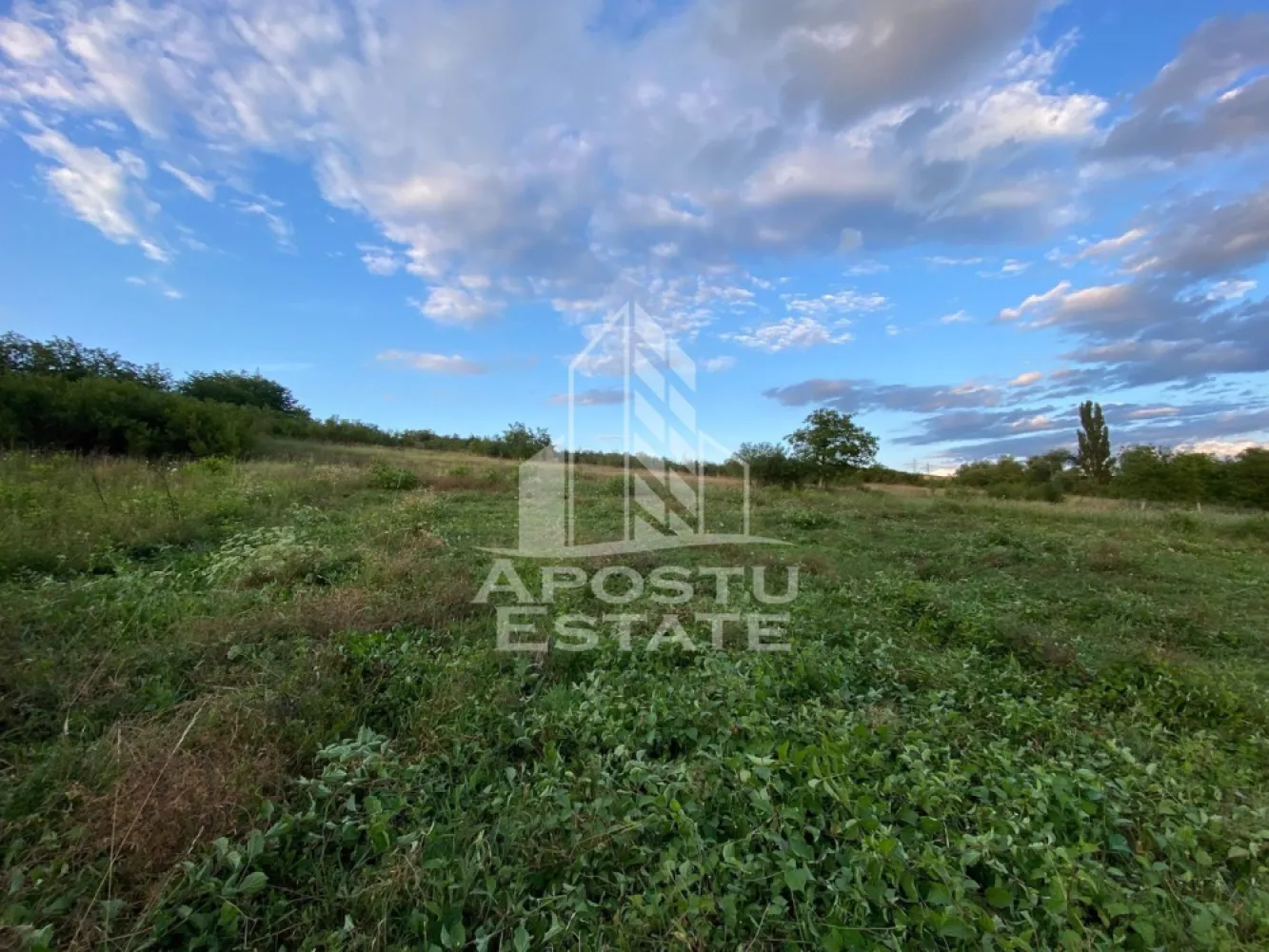 Teren intravilan cu vedere panoramica spre Retezat, Buituri, Hunedoara