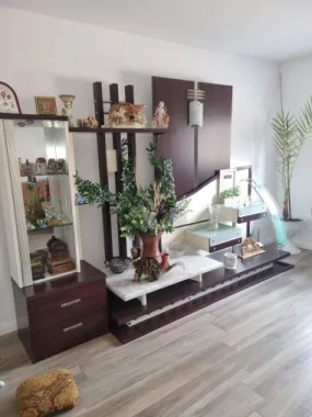 BRASADAS vinde casă cu teren generos in zona 14 Mai.