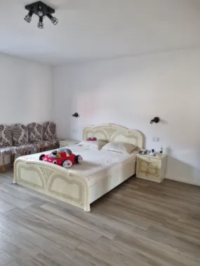 BRASADAS vinde casă cu teren generos in zona 14 Mai.