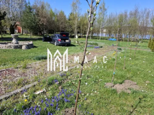 Teren Intravilan | 1150 mp | Săcel