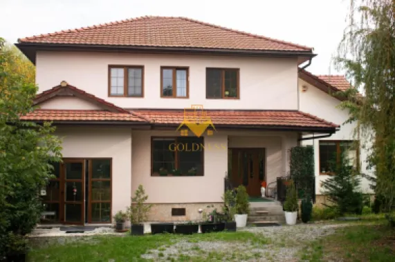 Logo Goldness Imobiliare logo