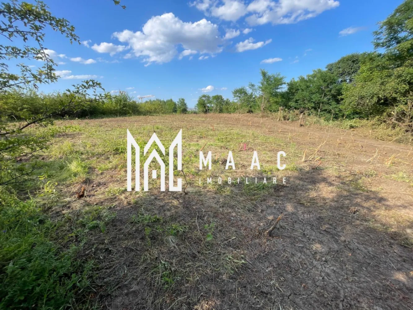 Teren Intravilan 10.350 mp | Colonia Becas I Cluj Napoca - MAAC Imobiliare vă propune spre vânzare un teren intravilan de mari dimensiuni, situat în zona Colonia Becas, o arie cu potențial ridicat de dezvoltare și interes crescut pentru proiecte rezidențiale sau investiții de anvergură. Proprietatea reprezintă o oportunitate strategică pentru dezvoltatori care urmăresc extinderea portofoliului într-o zonă aflată într-un ritm accelerat de creștere.

Terenul are o suprafață totală de 10.305 mp, oferind posibilitatea dezvoltării unor proiecte ample și scalabile, adaptate cerințelor actuale ale pieței imobiliare. Conform documentației cadastrale, terenul este intravilan, aspect esențial pentru demararea etapelor de planificare și autorizare.

Caracteristici principale:
-Suprafață totală: 10.305 mp
-Regim juridic: intravilan
-Zonă în plină dezvoltare
-Acces facil către infrastructura urbană
-Documentație completă și actualizată

Proprietatea se vinde fără Plan Urbanistic Zonal (PUZ) aprobat, oferind viitorului investitor libertatea de a concepe și implementa un proiect personalizat, optimizat conform propriei viziuni și cerințelor pieței. Prin confirmarea oficială de la Transgaz, nu există riscuri sau servituți majore legate de traversarea magistralelor de gaz, ceea ce asigură un proces de urbanizare predictibil și eficient.

Accesul către teren este facil, un avantaj important pentru organizarea șantierului și integrarea rapidă în circuitul de transport. Documentația este pregătită pentru tranzacție imediată, facilitând o finalizare rapidă și sigură a procesului de vânzare.

Această proprietate reprezintă o achiziție strategică pentru dezvoltatorii interesați de capitalizarea expansiunii zonei Colonia Becas și de valorificarea unei suprafețe generoase cu premise clare pentru obținerea avizelor necesare.

Pentru analiză detaliată, documentație completă și programarea unei vizionări, vă rugăm să contactați telefonic și să menționați ID CP2790415.