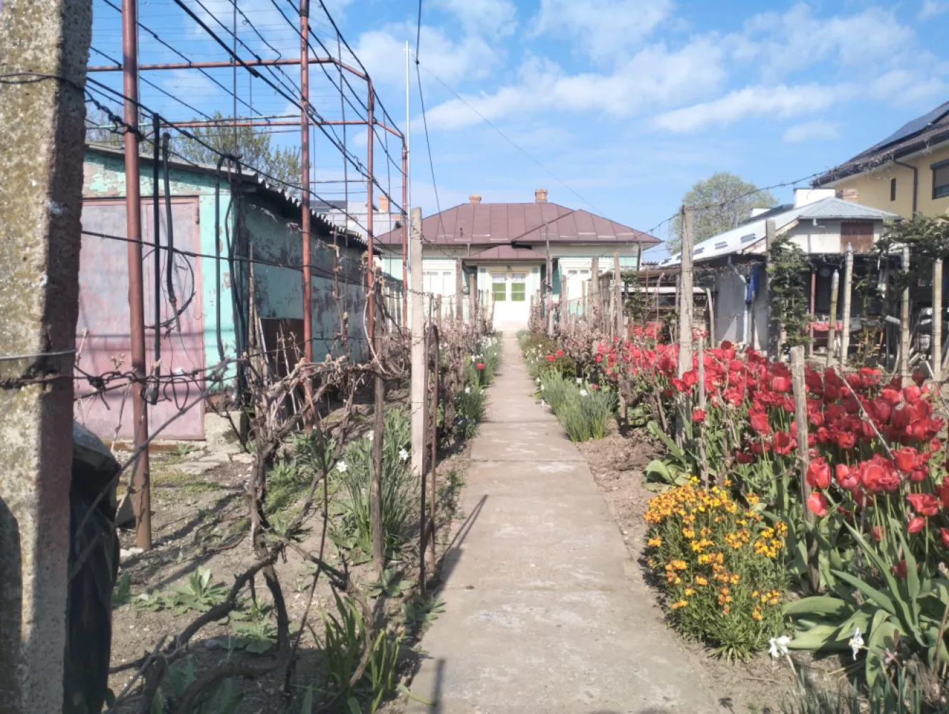 Casa de vanzare Oltenita - Casa la curte in orasul Oltenita, Strada Cuza Voda, Nr.174, jud Calarasi. Toate actele la zi.Doua corpuri de cladire. Unul cu suprafata utila 70mp si altul cu suprafata utila 46mp + anexe gospodaresti, garaje. Toate utilitatile.Teren curte 800 mp - gradini, vie, bolti.In proximitate scoli, gradinite, licee, parcuri, piete agroalimentare, magazine, fiind aproape de centrul orasului.tel 0771713768