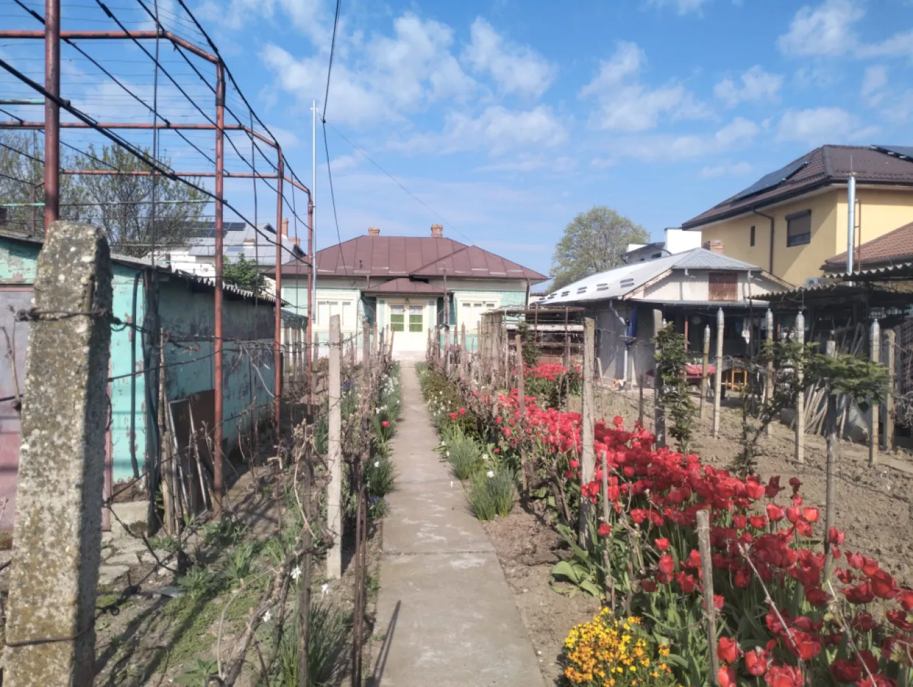 Casa de vanzare Oltenita - Casa la curte in orasul Oltenita, Strada Cuza Voda, Nr.174, jud Calarasi. Toate actele la zi.Doua corpuri de cladire. Unul cu suprafata utila 70mp si altul cu suprafata utila 46mp + anexe gospodaresti, garaje. Toate utilitatile.Teren curte 800 mp - gradini, vie, bolti.In proximitate scoli, gradinite, licee, parcuri, piete agroalimentare, magazine, fiind aproape de centrul orasului.tel 0771713768