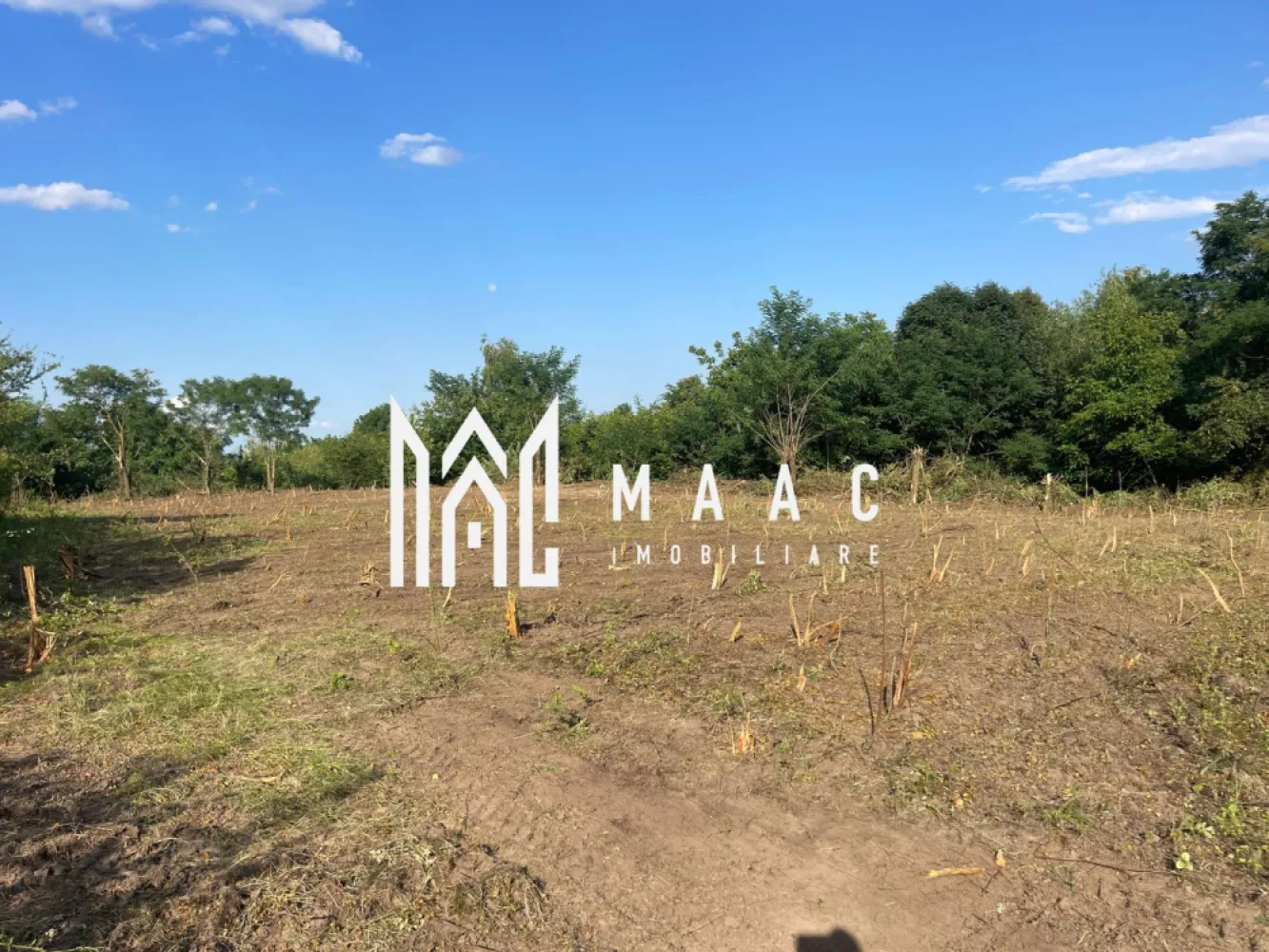 Teren Intravilan 10.350 mp | Colonia Becas I Cluj Napoca - MAAC Imobiliare vă propune spre vânzare un teren intravilan de mari dimensiuni, situat în zona Colonia Becas, o arie cu potențial ridicat de dezvoltare și interes crescut pentru proiecte rezidențiale sau investiții de anvergură. Proprietatea reprezintă o oportunitate strategică pentru dezvoltatori care urmăresc extinderea portofoliului într-o zonă aflată într-un ritm accelerat de creștere.

Terenul are o suprafață totală de 10.305 mp, oferind posibilitatea dezvoltării unor proiecte ample și scalabile, adaptate cerințelor actuale ale pieței imobiliare. Conform documentației cadastrale, terenul este intravilan, aspect esențial pentru demararea etapelor de planificare și autorizare.

Caracteristici principale:
-Suprafață totală: 10.305 mp
-Regim juridic: intravilan
-Zonă în plină dezvoltare
-Acces facil către infrastructura urbană
-Documentație completă și actualizată

Proprietatea se vinde fără Plan Urbanistic Zonal (PUZ) aprobat, oferind viitorului investitor libertatea de a concepe și implementa un proiect personalizat, optimizat conform propriei viziuni și cerințelor pieței. Prin confirmarea oficială de la Transgaz, nu există riscuri sau servituți majore legate de traversarea magistralelor de gaz, ceea ce asigură un proces de urbanizare predictibil și eficient.

Accesul către teren este facil, un avantaj important pentru organizarea șantierului și integrarea rapidă în circuitul de transport. Documentația este pregătită pentru tranzacție imediată, facilitând o finalizare rapidă și sigură a procesului de vânzare.

Această proprietate reprezintă o achiziție strategică pentru dezvoltatorii interesați de capitalizarea expansiunii zonei Colonia Becas și de valorificarea unei suprafețe generoase cu premise clare pentru obținerea avizelor necesare.

Pentru analiză detaliată, documentație completă și programarea unei vizionări, vă rugăm să contactați telefonic și să menționați ID CP2790415.