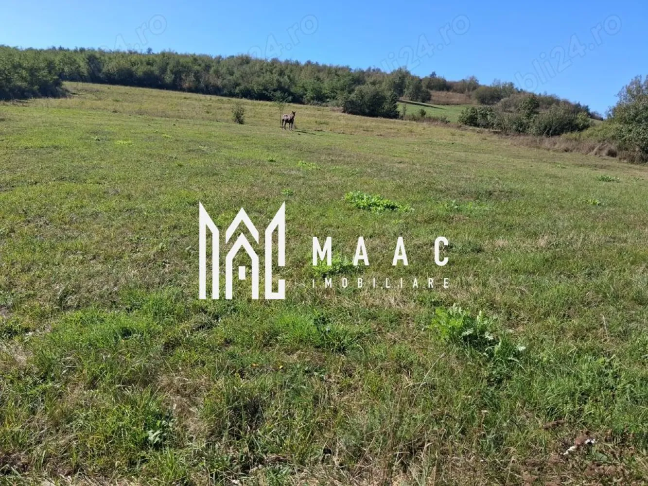Teren | 3.600 mp | Ariușd | Lângă Olt | 25 km de Brașov - Se oferă spre vânzare teren cu suprafața de 3.600 mp, situat în localitatea Ariușd, la doar 5 km de Bod și aproximativ 25 km de Brașov.

Terenul este amplasat într-o zonă liniștită, în apropierea râului Olt, ideal pentru construcție casă de vacanță, locuință permanentă sau investiție.

Caracteristici:

Suprafață: 3.600 mp
Zonă aerisită, cu potențial de dezvoltare
Acces facil din drum principal
Cadru natural plăcut

Preț: 3 €/mp