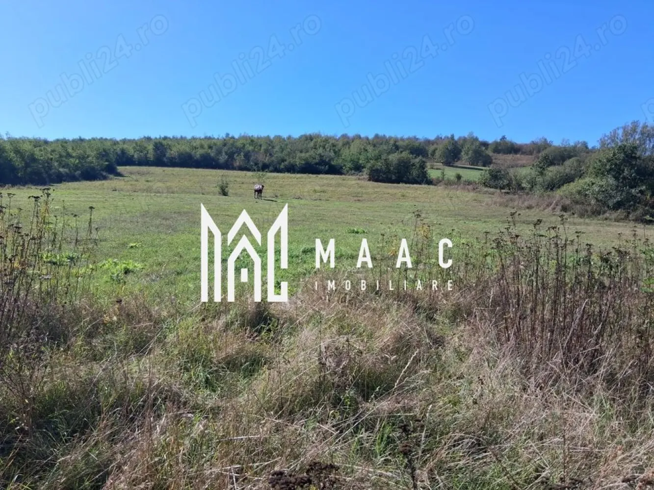 Teren | 3.600 mp | Ariușd | Lângă Olt | 25 km de Brașov - Se oferă spre vânzare teren cu suprafața de 3.600 mp, situat în localitatea Ariușd, la doar 5 km de Bod și aproximativ 25 km de Brașov.

Terenul este amplasat într-o zonă liniștită, în apropierea râului Olt, ideal pentru construcție casă de vacanță, locuință permanentă sau investiție.

Caracteristici:

Suprafață: 3.600 mp
Zonă aerisită, cu potențial de dezvoltare
Acces facil din drum principal
Cadru natural plăcut

Preț: 3 €/mp
