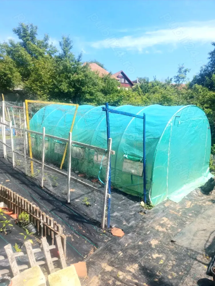 Casa Marginimea Sibiului - Casă 6 camere, situată în satul Vale, un sat pitoresc, la 23 km de Sibiu (20-25 min)Perfectă pentru locuinţă permanentă, casă de vacanţă, pensiune, crearea unei comunități în afara oraşului sau pentru cei care lucrează remoteCorpul 1: 2 camere, 2 bucătării, baie, cămară.Corpul 2 (fostă pensiune) pentru 10-12 persoane - 4 camere, (camera 1-3 paturi single, camera 2-1 pat single, camera 3- 1 pat dublu, camera 4- 2 paturi duble) bucătărie, baie, sală de mese.Anexe şi dotări:Sală de petreceri, pivniță, cămară, magazii, pod mansardabilCurte, grădină cu pomi fructiferi, gradin de legume cu solar, zone de relaxareCuptor, ceaun, grill, curte separată pentru animale cu coteţe din BCA.Utilități: curent electric (220 si 380 kw),apă rece caldă, canalizare, încălzire lemne (sobe teracotă) si electric, cablu(fibra optica), internet (wi-fi) gazul la poartă, parţial izolatăAvantaje: Linişte, peisaj montan, aproape de pădure, acces usor la oraş, drum asfaltat.Scoli, grădiniță, diverse magazine, restaurante, piață, pizzerie la doar 2 km.Casa are aprox 240 mp, total suprafața teren 1350 mp&nbsp;