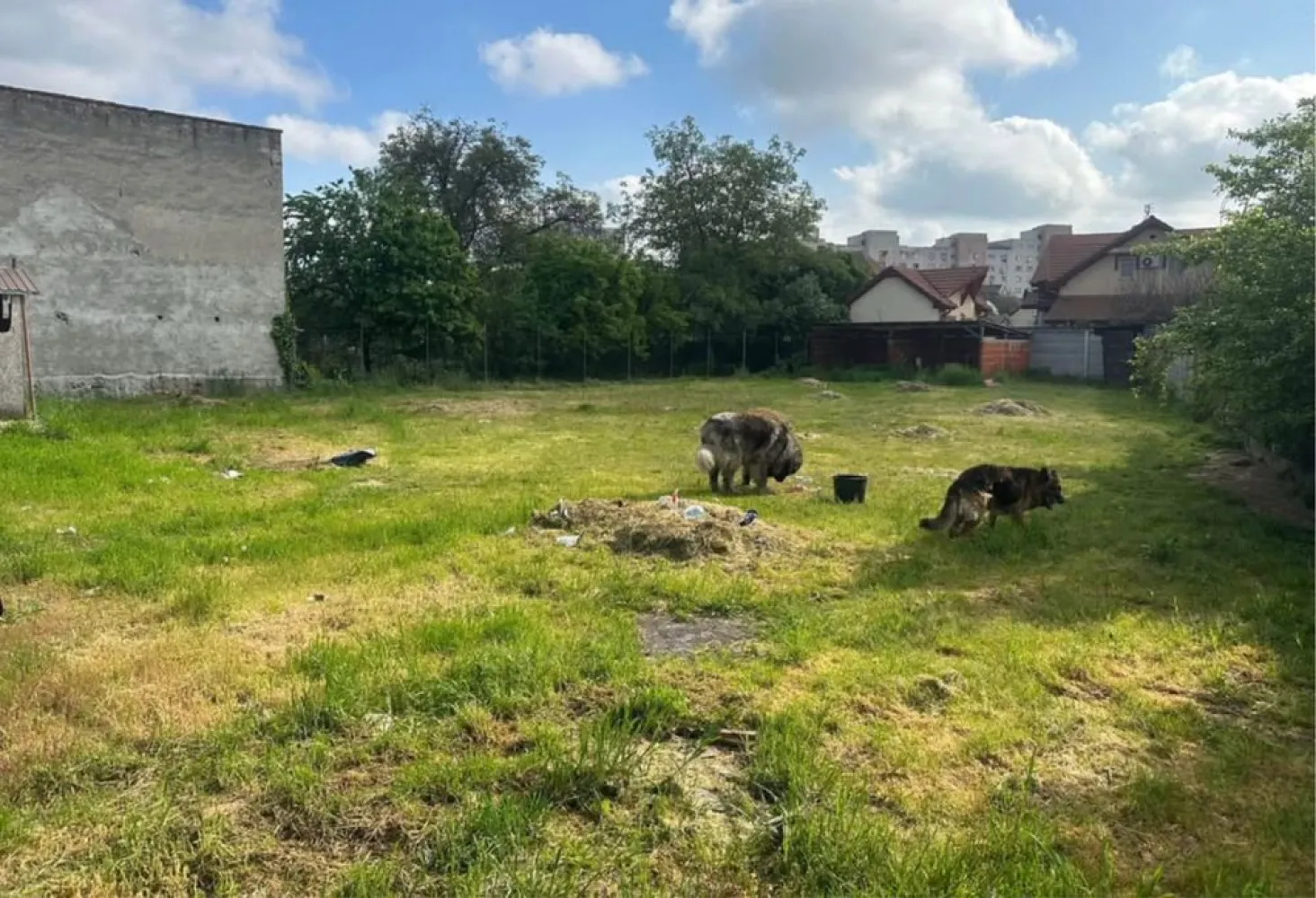 BRASADAS vinde teren in zona Soarelui. - Agentia imobiliara BRASADAS vinde teren intravilan având suprafața de 1.089 mp.cu o deschidere stradală de 36 m front.
Dispune de toate utilitățile,pretabil pt. casă,casă tip duplex, clinică,sediu firmă,asociație. 
Proiect casa aprobat 
Www.brasadas.com.