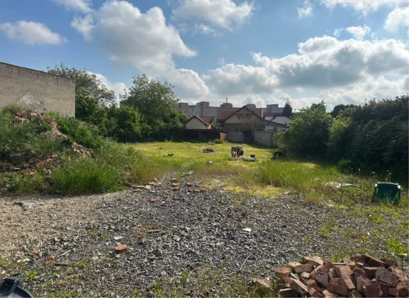BRASADAS vinde teren in zona Soarelui. - Agentia imobiliara BRASADAS vinde teren intravilan având suprafața de 1.089 mp.cu o deschidere stradală de 36 m front.
Dispune de toate utilitățile,pretabil pt. casă,casă tip duplex, clinică,sediu firmă,asociație. 
Proiect casa aprobat 
Www.brasadas.com.