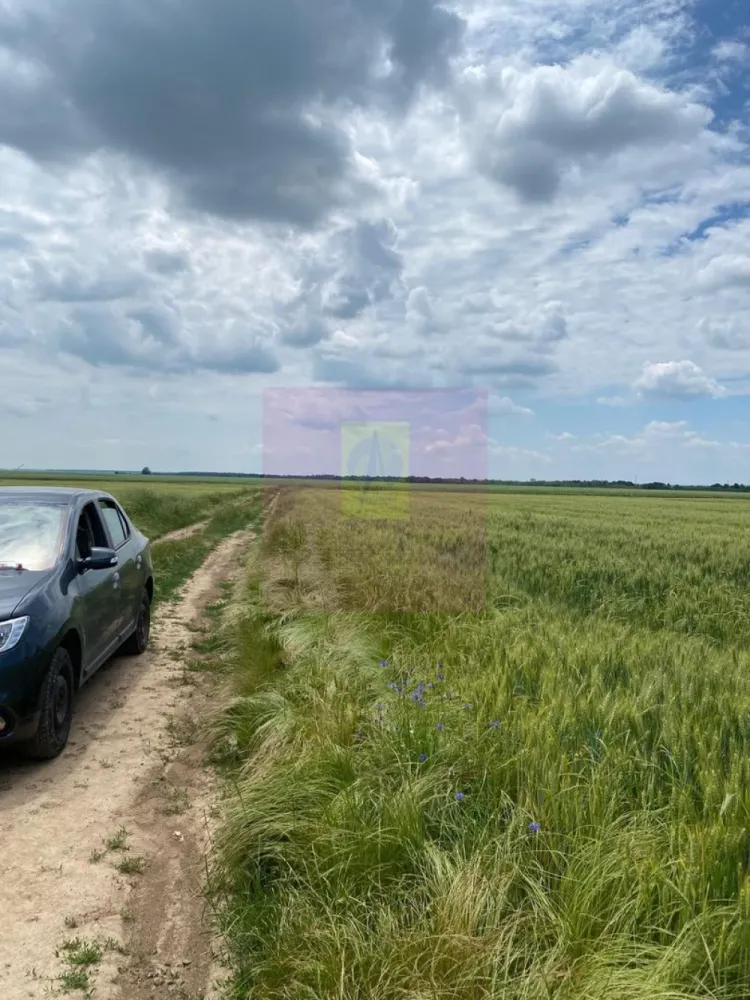 9,4 ha teren lângă DEx12 Pitești | 2,85 €/mp | loturi sau pachet - Teren agricol situat în Albota, in apropiere de Drumul Expres Craiova–Pitești (DEx12).
Proprietatea este formată din două terenuri extravilane cu cărți funciare separate. Se pot cumpăra individual sau împreună.
Suprafață totală disponibilă
94.227 mp (aprox. 9,4 ha)

Structura proprietății :

Teren 1
62.596 mp
Preț: 2,95 €/mp
Preț total: 184.650 €

Teren 2
31.631 mp
Preț: 3,10 €/mp
Preț total: 98.056 €

Achiziție pachet integral
94.227 mp
Preț: 2,85 €/mp
Preț total: 268.500 €

Date tehnice :

- teren extravilan
- categorie folosință: arabil
- acces din drum de exploatare
- cărți funciare individuale
- fără sarcini în cartea funciară

Localizare :

Proprietatea se află în zona agricolă a comunei Albota, cu acces rapid către Pitești și în imediata apropiere a Drumul Expres Craiova–Pitești (DEx12).
Ruta fizică de la DEx12 la terenuri e următoarea:DEx12 → Nod rutier Albota/Podu Broșteni → DN65 sau DN65A (drumuri naționale, acces garantat) → drum comunal sau DJ 703A prin zona Cerbu → drum de exploatare (De) pe latura estică → terenuri CF 5120 + CF 13199
Terenul beneficiază de acces garantat printr-un drum de exploatare agricolă aflat în proprietatea statului, marcat ca atare în planul cadastral. Racordarea la Drumul Expres Craiova–Pitești (DEx12), în imediata vecinătate, este posibilă prin procedura legală CNAIR, la inițiativa cumpărătorului, în funcție de destinația aleasă.

Loturile de teren se pot vinde individual sau împreună.
Documentația cadastrală completă este disponibilă pentru verificare.