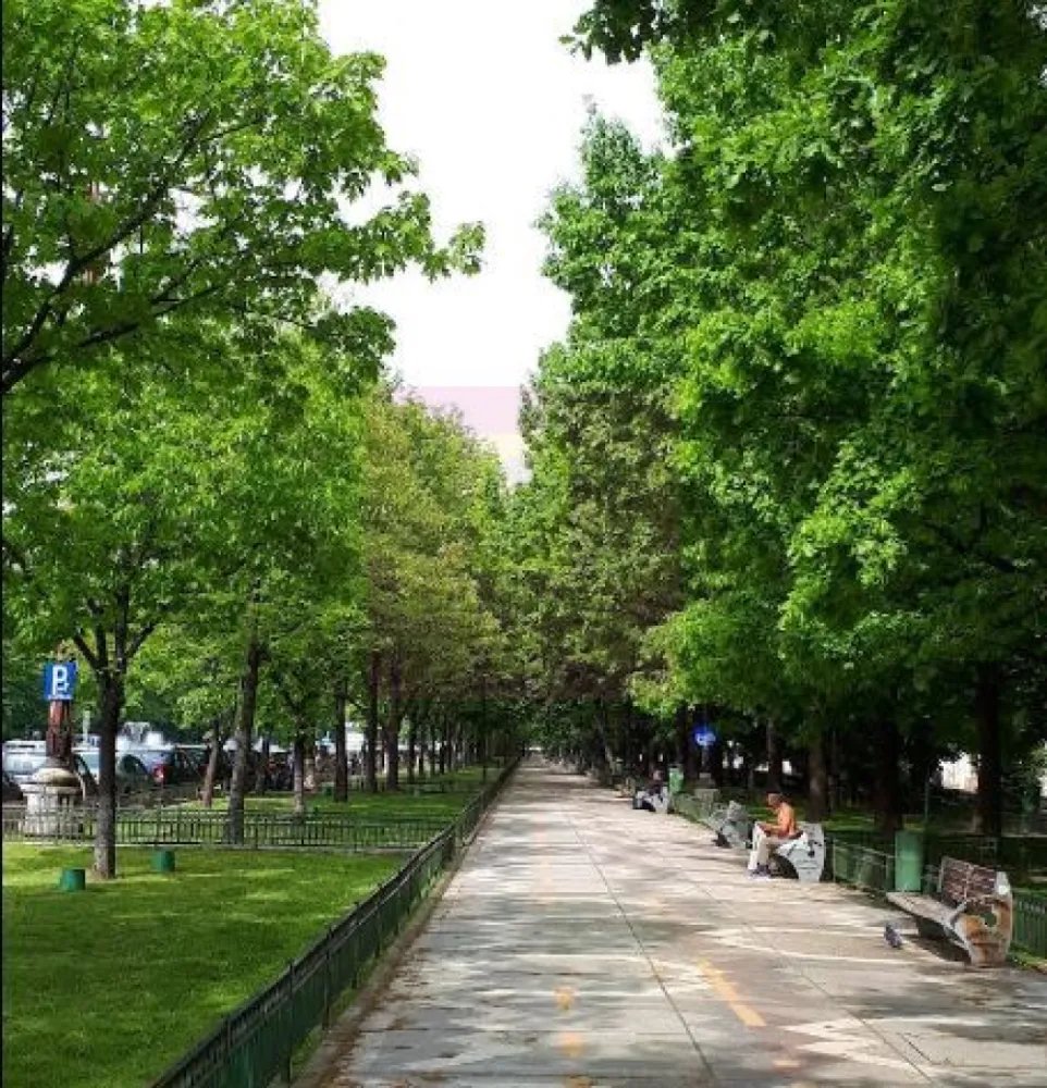 Spatiu comercial la vanzare bd Unirii, inchiriat - Va oferim spre vanzare un spatiu comercial in zona bd Unirii cu o suprafata de 128,46mp, distribuiti la parter 81,33mp+supanta 47,13mp, dispune de intrare suplimentara pe partea din spate pentru acces marfa, cu doua vitrine si toate utilitatile.
Pentru detalii suplimentare si vizionari contactati agentul Dona Camelia 0733683461