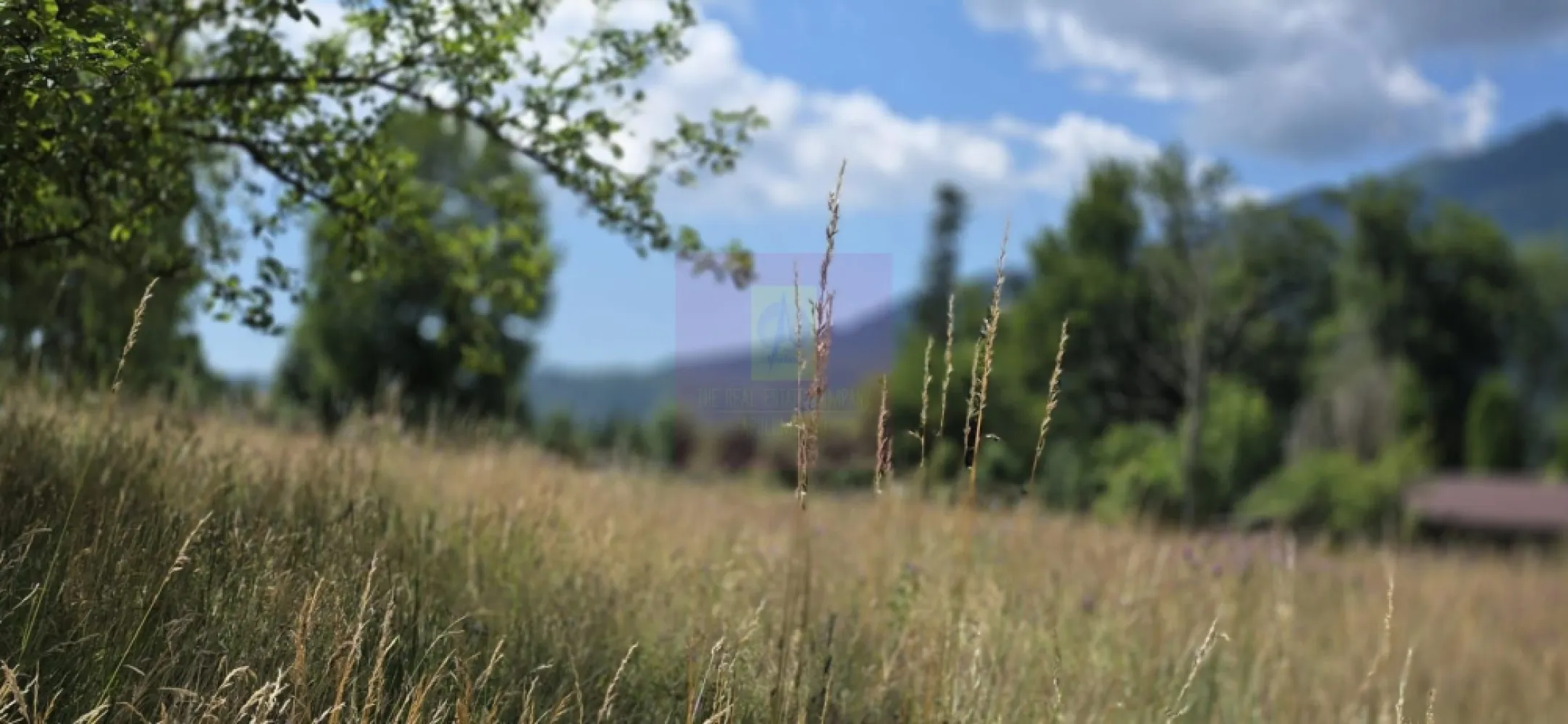 Teren 1000 mp cu view superb in Busteni - Teren intravilan de vânzare în Bușteni – Cartier Zamora | 1.000 mp | Vedere panoramică către Masivul Bucegi

Agenția Imobiliară Mervani vă propune spre vânzare un teren intravilan cu o suprafață de 1.000 mp, situat în prestigiosul cartier Zamora din Bușteni, una dintre cele mai apreciate zone rezidențiale și turistice de pe Valea Prahovei.

Terenul are formă pătrată, oferind o utilizare eficientă pentru dezvoltarea unei vile de vacanță, a unei reședințe permanente sau a unui proiect imobiliar destinat apartamentelor de vacanță. Proprietatea este retrasă de la drumul principal, beneficiind de liniște, intimitate și o priveliște spectaculoasă asupra Masivului Bucegi.

Pe teren există o căsuță din lemn, racordată la rețeaua de apă și la curent electric trifazat. La limita proprietății sunt disponibile toate celelalte utilități:

 gaz natural;
 internet;
 CATV.

Proprietatea dispune de cadastru și Certificat de Urbanism, cu următorii indicatori urbanistici:

 Regim de înălțime: P + 2 Etaje + Mansardă;
 POT: 40%;
 CUT: 1,4.

Acești indicatori permit edificarea unei construcții generoase, ceea ce transformă terenul într-o oportunitate excelentă atât pentru o locuință premium, cât și pentru o investiție în domeniul turistic. Zona Zamora este recunoscută pentru dezvoltările de calitate și pentru interesul crescut al investitorilor în apartamente și vile de vacanță.
Avantaje:

 Teren intravilan de 1.000 mp;
 Formă pătrată, ideală pentru construire;
 Cartier Zamora – una dintre cele mai căutate zone din Bușteni;
 Vedere panoramică spre Masivul Bucegi;
 Acces facil și poziție retrasă de la drumul principal;
 Căsuță din lemn existentă;
 Apă și curent trifazat pe proprietate;
 Gaz, internet și CATV la limita terenului;
 Cadastru și Certificat de Urbanism disponibile;
 Ideal pentru vilă de vacanță, reședință permanentă sau dezvoltare imobiliară.

Pentru informații suplimentare și programarea unei vizionări:

Agenția Imobiliară Mervani
0729 935 536