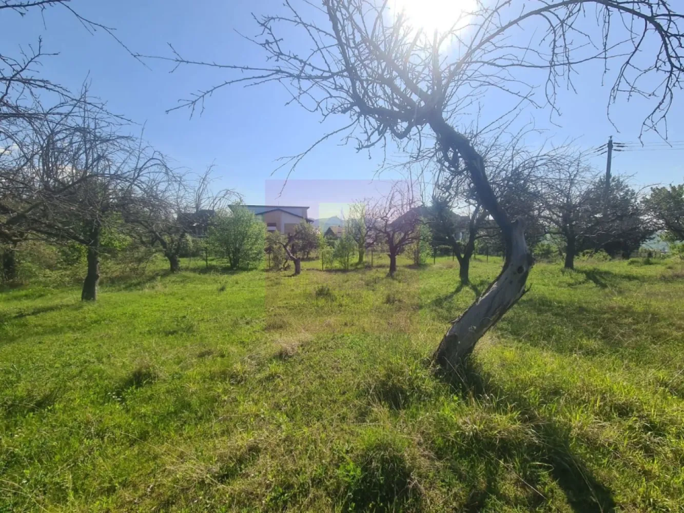 Teren de vanzare in Campina - Teren intravilan de vânzare în Câmpina – Cartier Voila | Locație deosebită, utilități complete și priveliște superbă

Agenția Imobiliară Mervani vă propune spre vânzare un teren intravilan amplasat într-una dintre zonele frumoase și apreciate ale Municipiului Câmpina – cartierul Voila, o locație liniștită, cu acces facil și în continuă dezvoltare.

Zona a devenit tot mai căutată în ultimii ani, valoarea terenurilor fiind în creștere datorită poziției excelente, cadrului natural și construcțiilor noi, moderne și elegante realizate în apropiere.

Proprietatea are o suprafață de 1.300 mp și beneficiază de o ușoară înclinație, avantaj care oferă posibilitatea realizării unei construcții cu o arhitectură specială și cu o priveliște frumoasă asupra împrejurimilor.

- Drum asfaltat până la proprietate
- Zonă liniștită, aerisită, cu locuințe frumoase în vecinătate
- Potrivit pentru casă de vacanță sau reședință permanentă
- Potențial foarte bun de creștere a valorii în timp

Utilități disponibile la limita proprietății:
• Apă
• Canalizare
• Energie electrică
• Gaz
• Internet și CATV

Un teren cu poziție foarte bună, într-o zonă unde natura, liniștea și confortul urban se îmbină perfect.

Agenția Imobiliară Mervani
0729 935 536