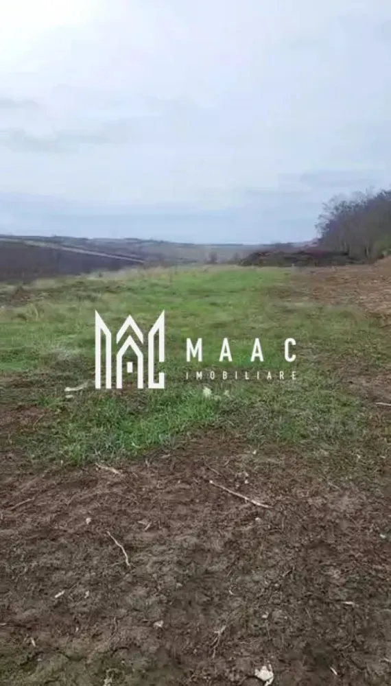 Teren Intravilan | 3.700 mp | Sura Mare - MAAC Imobiliare oferă spre vânzare un teren de 3700mp situat în Sura Mare

Detalii teren:

Suprafață generoasă, ideală pentru construcția de case
Teren cu acte la zi, înregistrat în ETERA 
Utilități în imediata apropiere, la casele vecine
Locație liniștită, zonă de case

Avantaje:

Posibilitate de dezvoltare rezidențială
Acces facil la drum și utilități
Zonă bine cotată, potrivită pentru locuințe

Pentru mai multe detalii spacificati telefonic ID: CP2786539