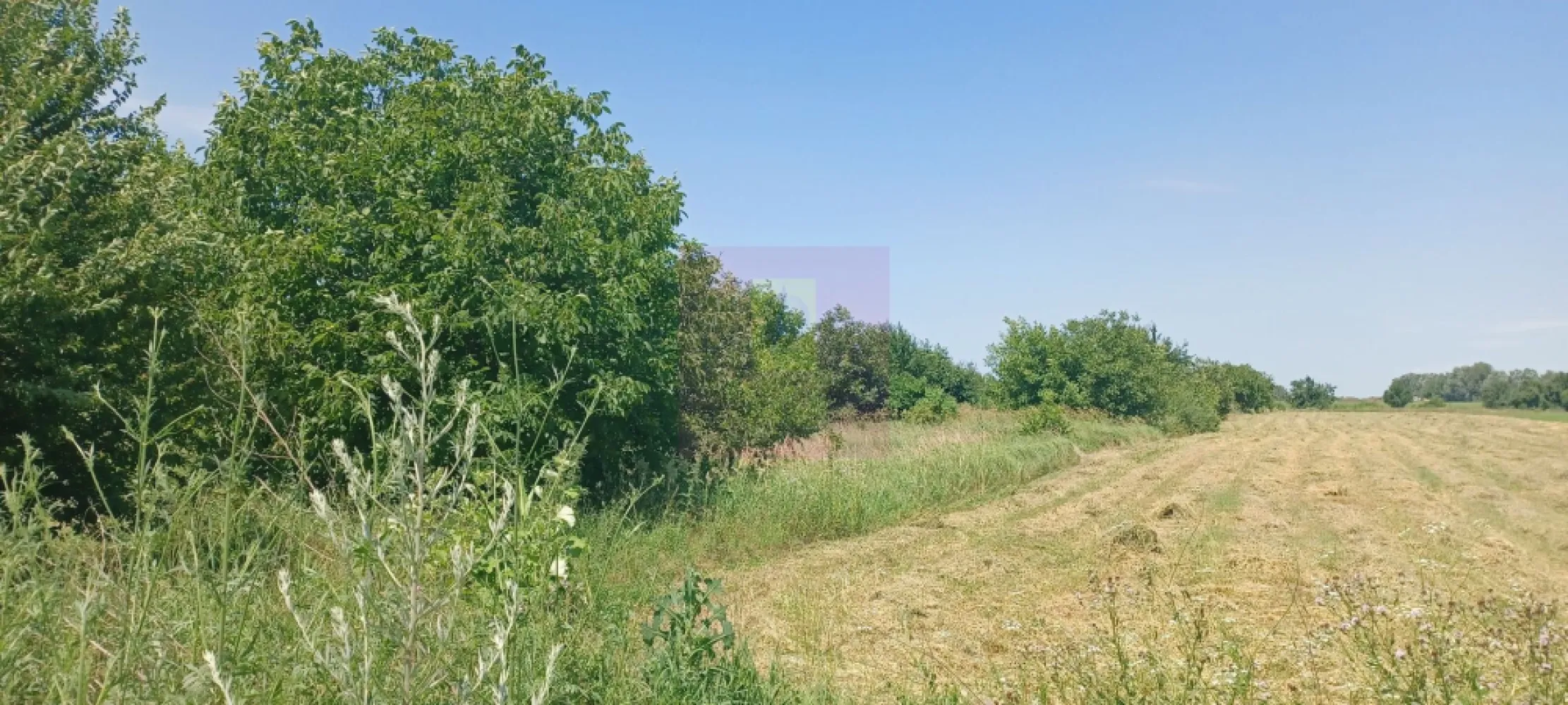 Săbăreni, teren intravilan 665 mp, aproape de DJ 602 - Terenul se află în comuna Săbăreni, la iesirea spre Joița, la 75 m distanță de DJ602, Str Castanilor. Este intravilan construibil, are suprafața de 665 mp, cu d = 24 m la drumul de acces. Are documentație cadastrală si este intabulat in Cartea Funciară. Preț lot + cota indiviză de drum 16.900 EUR, neg