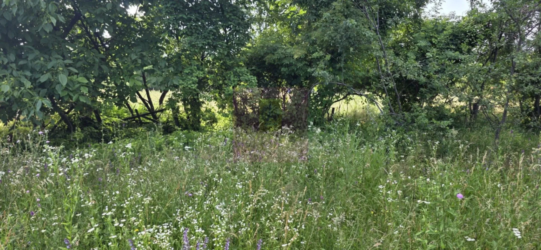 Teren 3026 de vanzare in Brebu - Teren intravilan de vânzare în Brebu, Prahova – 3.026 mp, toate utilitățile la proprietate

Agenția Imobiliară MERVANI vă propune spre vânzare un teren intravilan situat în comuna Brebu, una dintre cele mai apreciate zone rezidențiale și de vacanță din județul Prahova, renumită pentru liniște, aer curat și peisajele sale deosebite. Localitatea se află la doar câțiva kilometri de Câmpina și este înconjurată de dealuri și păduri, oferind un cadru natural ideal pentru locuire sau relaxare.

Terenul are o suprafață generoasă de 3.026 mp și o deschidere de 28 metri la drum asfaltat, fiind amplasat într-o zonă verde, retrasă și liniștită, predominată de case de vacanță și locuințe individuale.

Un avantaj important al proprietății îl reprezintă existența tuturor utilităților la limita terenului:

 apă;
 gaz natural;
 energie electrică;
 CATV;
 internet.

Datorită poziționării sale, terenul este ideal pentru construirea unei locuințe permanente, a unei case de vacanță sau pentru o investiție într-o zonă aflată în continuă dezvoltare.

Dacă vă doriți un loc unde natura, liniștea și accesul facil se îmbină perfect, această proprietate reprezintă o alegere excelentă.

Pentru informații suplimentare și programarea unei vizionări, contactați Agenția Imobiliară MERVANI la telefon 0729 935 536.