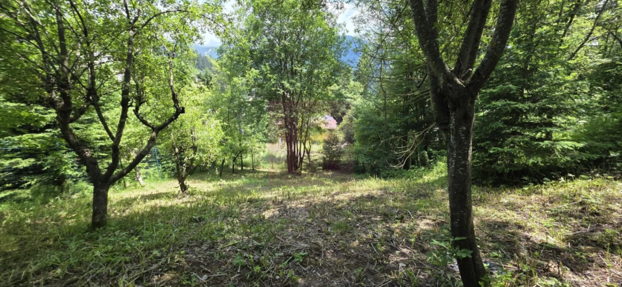 Teren exclusivist pentru dezvoltare imobiliară – Zona Furnica, Sinaia - MERVANI Imobiliare vă prezintă unul dintre ultimele terenuri disponibile pentru dezvoltare în prestigiosul cartier Furnica din Sinaia, una dintre cele mai căutate zone ale stațiunii regale.

Cu o suprafață de 780 mp și o deschidere generoasă de 30 metri, proprietatea oferă condiții excelente pentru dezvoltarea unui imobil cu apartamente de vacanță premium, beneficiind de o poziționare excepțională, la doar câteva minute de Castelul Peleș și de principalele atracții turistice ale stațiunii. Zona Furnica este recunoscută pentru proximitatea față de Castelul Peleș și pentru caracterul său exclusivist.

Terenul impresionează prin panorama spectaculoasă asupra Munților Bucegi și a orașului Sinaia, oferind viitorului proiect un avantaj competitiv important într-o piață în care apartamentele de vacanță premium sunt foarte căutate.

Toate utilitățile (apă, canalizare, gaze naturale și energie electrică) sunt disponibile la limita proprietății, facilitând demararea rapidă a investiției.

Această proprietate se adresează în special dezvoltatorilor imobiliari care urmăresc realizarea unui proiect exclusivist într-o zonă cu ofertă limitată de terenuri și cu un potențial ridicat de valorificare. În Sinaia, apartamentele noi din zonele premium ating frecvent valori de aproximativ 3.000 €/mp sau chiar mai mult, în funcție de poziționare și nivelul finisajelor, ceea ce conferă proiectelor de acest tip un potențial investițional deosebit.

Caracteristici principale:

 Suprafață teren: 780 mp
 Deschidere: 30 m
 Zonă exclusivistă – Furnica, Sinaia
 Panoramă deosebită asupra Munților Bucegi
 Utilități la limita proprietății
 Aproape de Castelul Peleș
 Ideal pentru dezvoltarea unui ansamblu de apartamente de vacanță

Preț: 400.000 Euro

Dacă sunteți în căutarea unui teren cu adevărat valoros, într-o locație unde oportunitățile sunt din ce în ce mai rare, această proprietate reprezintă o investiție cu perspective excelente pe termen lung.