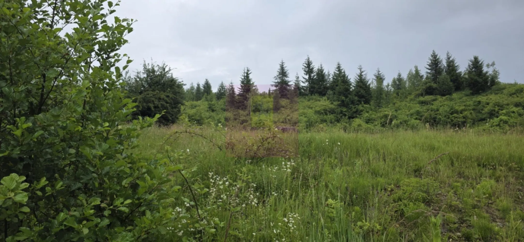 Teren intravilan 4000 mp in Breaza, Nistoresti - Teren intravilan de vânzare în Breaza – Cartier Nistorești | 4.000 mp | Cadru natural deosebit

Agenția Imobiliară Mervani vă propune spre vânzare un teren intravilan cu o suprafață de 4.000 mp, situat în cartierul Nistorești din Breaza, într-o zonă liniștită, înconjurată de natură, ideală pentru cei care își doresc relaxare, intimitate și aer curat.

Proprietatea este amplasată într-un cadru natural deosebit, fiind înconjurată de pădure și beneficiind de câțiva vecini, ceea ce oferă echilibrul perfect între intimitate și accesibilitate.

Pe teren se află o mică căsuță de grădină, potrivită pentru depozitare sau pentru utilizare temporară în timpul amenajării viitoarei proprietăți.

Caracteristici:

 teren intravilan cu suprafața de 4.000 mp;
 teren împrejmuit;
 fântână proprie pentru alimentarea cu apă;
 energie electrică disponibilă în apropierea proprietății;
 cadru natural spectaculos, în mijlocul pădurii;
 vecinătăți puține, ideale pentru liniște și relaxare.

Datorită amplasării sale, proprietatea este potrivită pentru construirea unei case de vacanță, a unei cabane sau a unei locuințe permanente pentru cei care apreciază natura și intimitatea.

Un alt avantaj îl reprezintă poziționarea în apropierea comunei Șotrile și a zonei turistice Valea Doftanei, recunoscută pentru peisajele sale spectaculoase și posibilitățile de recreere în aer liber.

Dacă sunteți în căutarea unui teren într-o zonă verde, retrasă și cu un potențial deosebit, această proprietate merită vizionată.

Pentru informații suplimentare și programarea unei vizionări:

Agenția Imobiliară Mervani
 0729 935 536
