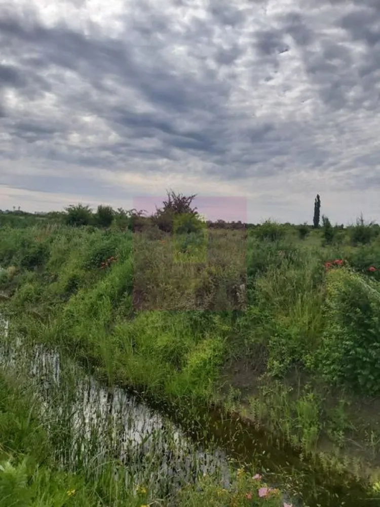 Teren Corbeanca- Drumul Garii Odai. - Compania imobiliara Apulum 94 va propune un teren de 9974 mp situat in Corbeanca- Ilfov, in zona strazii Drumul Garii Odai- Str Cantonului- Str Radarului. 
Terenul are in imediata apropiere autostrada A0- la care se lucreaza si este in viitoare dezvoltare. 
Curentul este la aproximativ 100-150 metri. 
Pentru vizionare si mai milte detalii nu ezitati sa ma contactati pe nr 0733683446- Laura Ionescu.