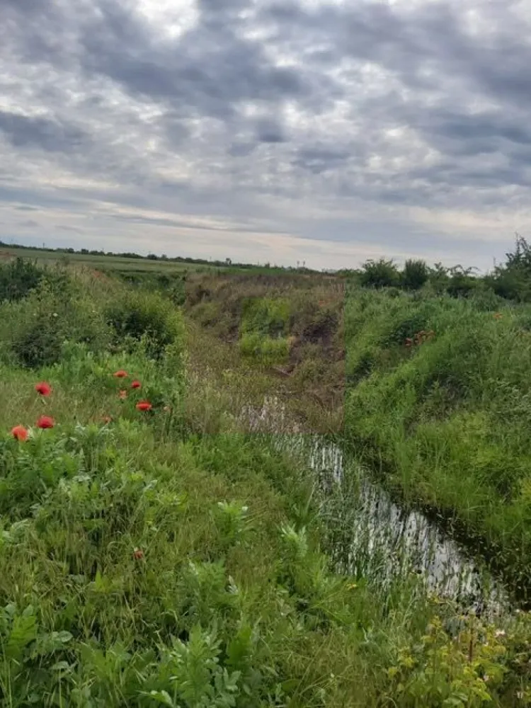 Teren Corbeanca- Drumul Garii Odai. - Compania imobiliara Apulum 94 va propune un teren de 9974 mp situat in Corbeanca- Ilfov, in zona strazii Drumul Garii Odai- Str Cantonului- Str Radarului. 
Terenul are in imediata apropiere autostrada A0- la care se lucreaza si este in viitoare dezvoltare. 
Curentul este la aproximativ 100-150 metri. 
Pentru vizionare si mai milte detalii nu ezitati sa ma contactati pe nr 0733683446- Laura Ionescu.