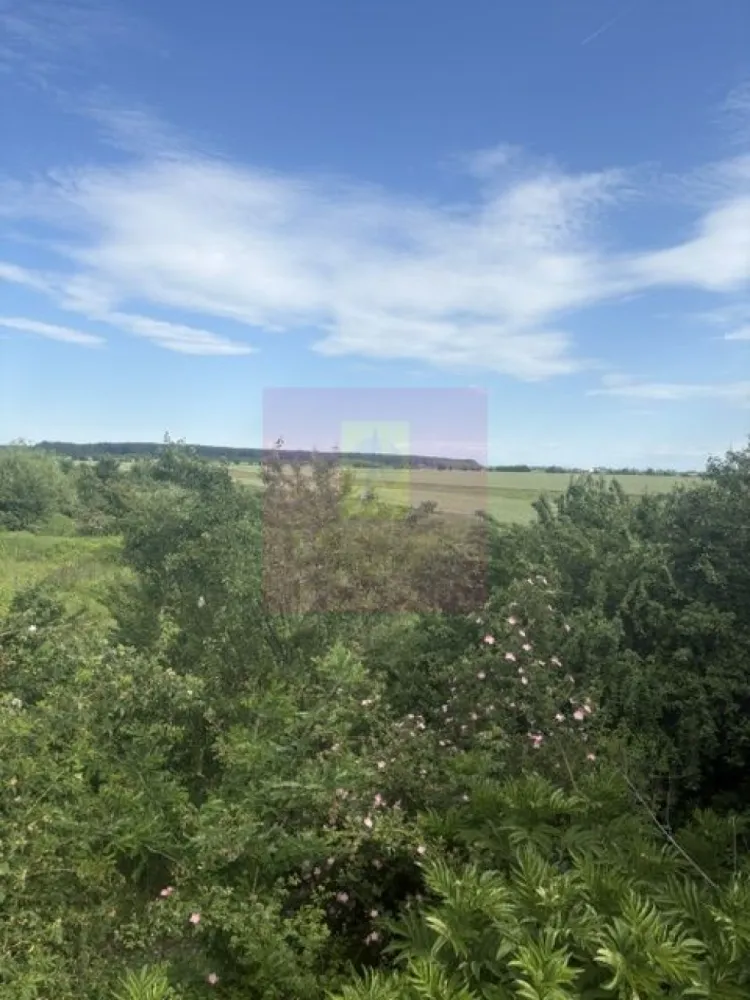 Teren Corbeanca- Drumul Garii Odai. - Compania imobiliara Apulum 94 va propune un teren de 9974 mp situat in Corbeanca- Ilfov, in zona strazii Drumul Garii Odai- Str Cantonului- Str Radarului. 
Terenul are in imediata apropiere autostrada A0- la care se lucreaza si este in viitoare dezvoltare. 
Curentul este la aproximativ 100-150 metri. 
Pentru vizionare si mai milte detalii nu ezitati sa ma contactati pe nr 0733683446- Laura Ionescu.