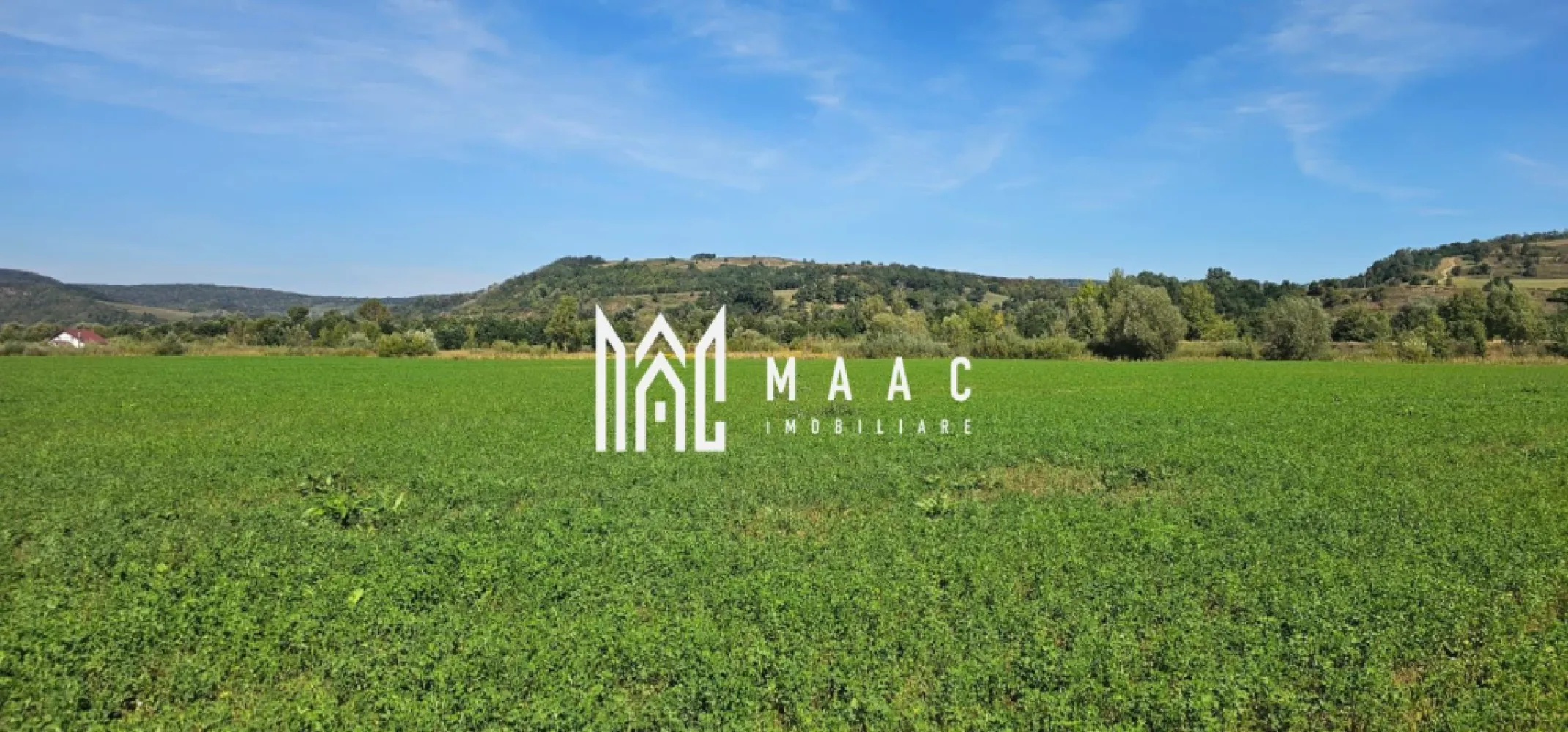 Teren 3.500 mp | Lângă canalul Oltului | Porumbacu de Jos - MAAC Imobiliare vă propune spre vânzare un teren cu o suprafață de 3.500 mp, situat în localitatea Porumbacu de Jos, într-o zonă liniștită, în imediata apropiere a canalului de fugă al Oltului.

Detalii teren:
Suprafață totală: 3.500 mp
Deschidere: peste 22 m
Lungime: aproximativ 150 m
Teren plan, ușor accesibil
Primii aproximativ 20 m acoperiți cu salcii și vegetație spontană, restul cultivat cu lucernă

Avantaje:
Zonă ideală pentru pescari sau iubitorii de natură
Loc sigur, fără risc de inundații
Posibilitate de construire cabană, casă de vacanță sau amenajare baltă proprie

Acces facil din drumul principal
Pentru mai multe detalii specificati telefonic ID: CP2786288