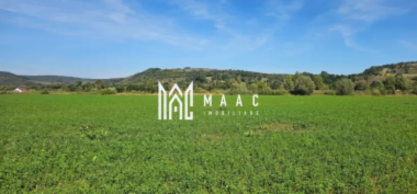 Logo MAAC IMOBILIARE logo