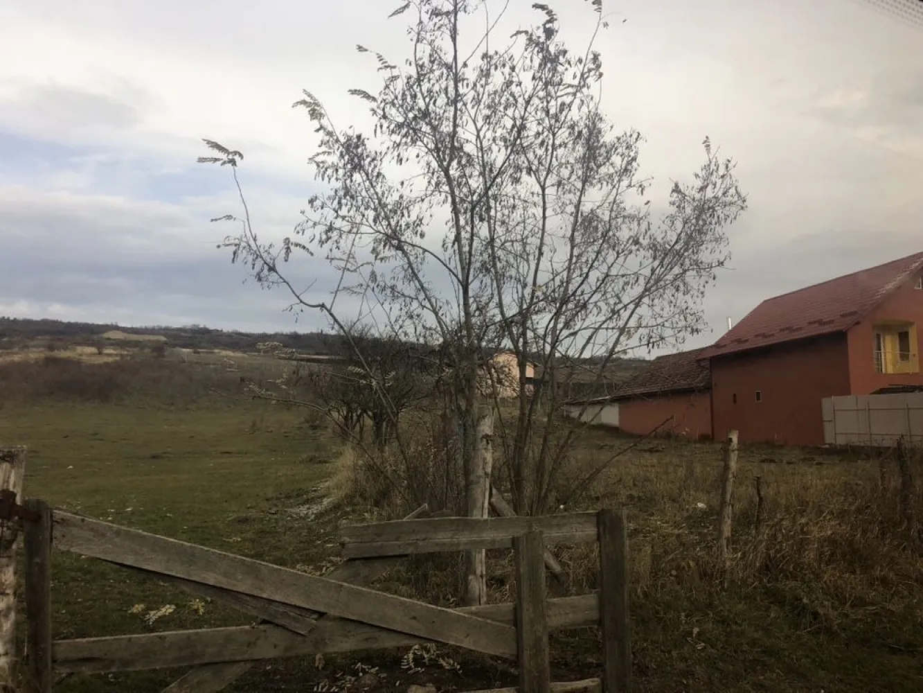 Parcela 7600 m2 Valea Fanatelor - Persoana fizica ofer spre vanzare parcela de teren extravilan in suprafata utila de 7400 m2, zona Fanatele Clujului “La Coparsaie”.
Terenul se afla la 300m de ultima casa locuita.
Terenul este intabulat, CF, acte la zi, situatie juridica clara.
Posibilitate de achizitie a unei suprafete minime de 4400 m2.