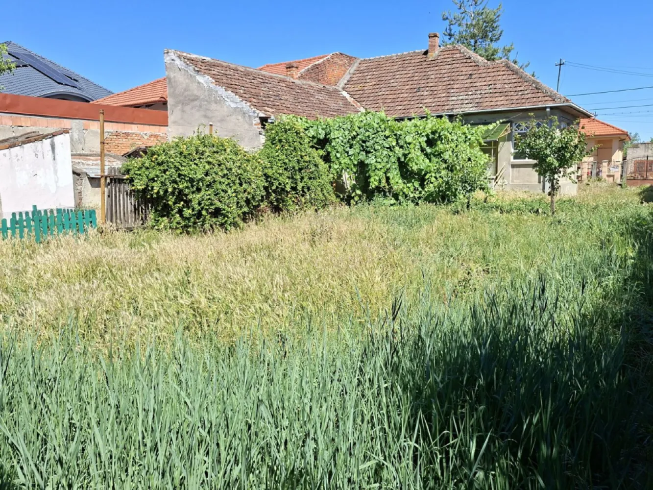 BRASADAS vinde casa 3 cam cu teren 5 ari in 14 Mai. - Agenția imobiliara BRASADAS vinde casa individuala cu 3 camere și teren aferent de 500 mp in 14 Mai.
Casa necesita renovare.
www.brasadas.com.