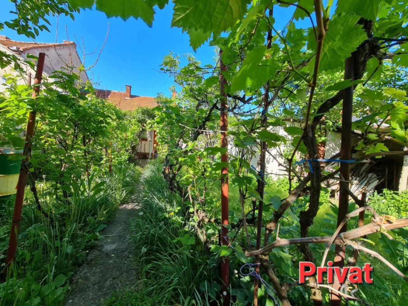 Casă cu grădină str.Anton Pann/486mp/3 front/spațiu com./155.000€neg. - De vânzare casă cu suprafața desfășurată 186 mp,teren~ 5 ari, zona 14 Mai. Imobilul este compus din: 4 cam.,2 bucătării,2 băi, beci,3 garaje.
Și cu spațiu comercial destinat pentru afaceri,cu acces la stradă.

În zona apropiata,la 50-100m,se află magazine,farmacie,cabinete medicale,stație de autobuz.
Casa dispune de toate utilitățile și se află într-o zonă cu potențial de dezvoltare/investiție.