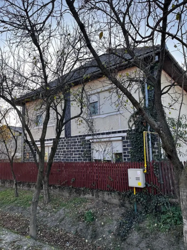 Vind casa la tara - Vind casa in Medesul Aurit.