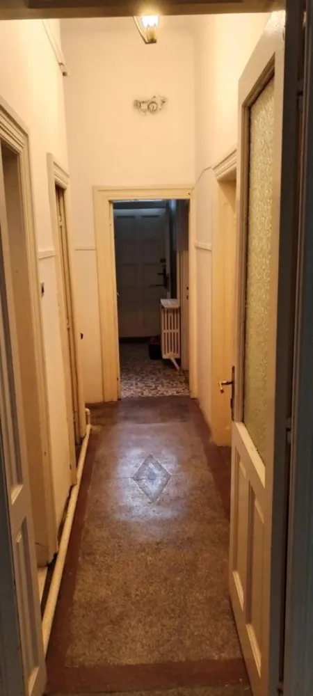 Sectorul 2 Bucuresti - Floreasca, vila 5 camere + dependinte (baie, bucatarie, camara, 2 grupuri sanitare, 204 mp, singur curte, garaj, pivnita, spalatorie, pod, incalzire centrala cu gaze/centrala proprie, la cheie.

Prefer sa fiu contactata direct de catre cumparator.
