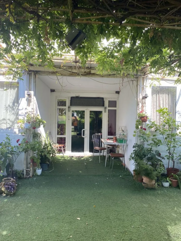 Restaurant | Complex turistic | Motel - Se vinde- 11.700 mp, 2 corpuri situate pe DN5 Giurgiu-Bucuresti,langa padurea Plopsoru la 40 de min de Bucuresti(loc foarte frumos,pretabil: camin de batrani,parcare de tiruri etc)

Fost Restaurant - salon 150 persoane,19 camere fiecare cu baie proprie,bucatarie (cu beci),separeu la subsol separat,bar.

Cladire fast food (la strada) 110 mp cu terasa exterioara, 2 grupuri sanitare + vestiar interior cu grup sanitar si dus.

2 puturi in curte,curent instalatie de 380

*Cladirile necesita renovare.

*Trafic foarte mare de masini si TIR-uri.

Schimb cu imobiliare in Giurgiu sau Bucuresti ! Nu accept variante auto ! 
Nu este implicata agentie imobiliara !